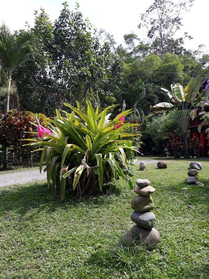 Cabinas Nirvana Ecolodge Cahuita Kültér fotó