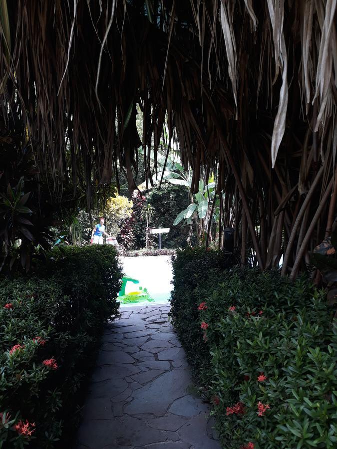 Cabinas Nirvana Ecolodge Cahuita Kültér fotó