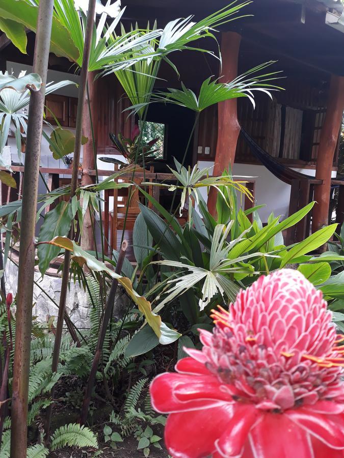 Cabinas Nirvana Ecolodge Cahuita Kültér fotó