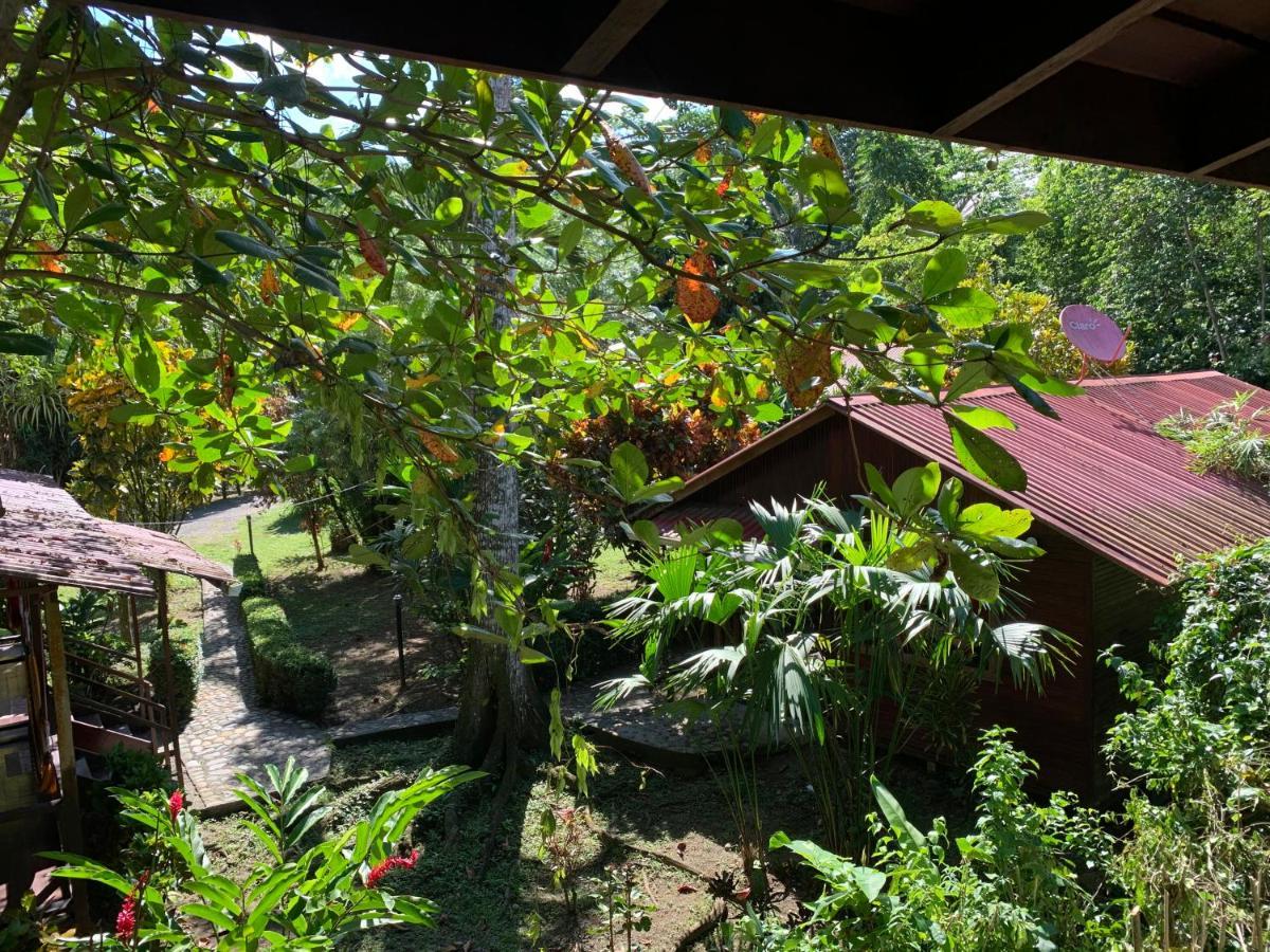 Cabinas Nirvana Ecolodge Cahuita Kültér fotó